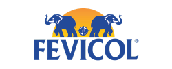 Fevicol