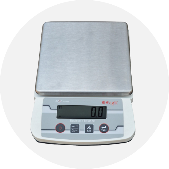 Food Scale