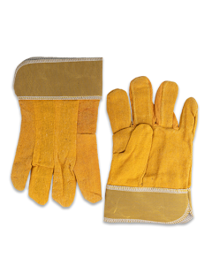 Buy Yellow Gloves - Per Ctn at Best Price in UAE