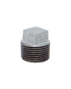 Buy GI Plug Male Thread at Best Price in UAE